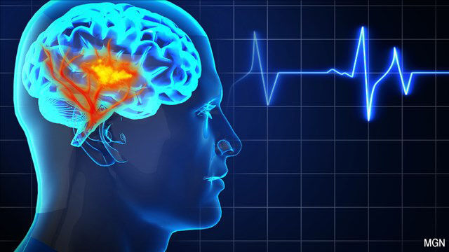 stroke generic graphic